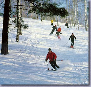 Skiers
